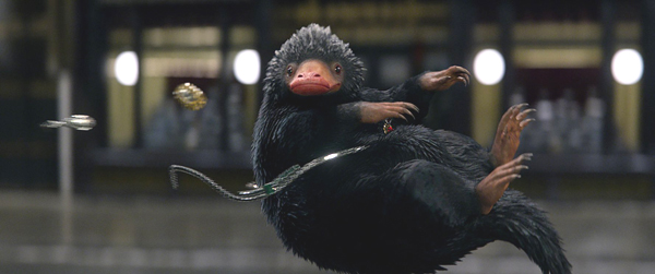A Niffler in FANTASTIC BEASTS AND WHERE TO FIND THEM