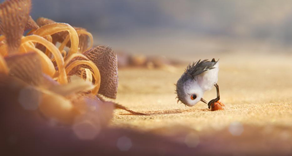 A young sandpiper looks for food in Disney/PIXAR's  PIPER