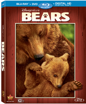 BEARS boxart