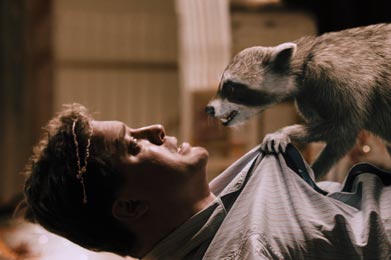 Dan (Fraser) gets a vist from a raccoon