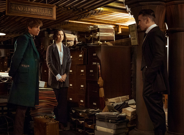 Colin Farrell, Eddie Redmayne, and Katherine Waterston in Fantastic Beasts and Where to Find Them
