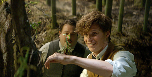 Dan Fogler and Eddie Redmayne in Fantastic Beasts and Where to Find Them