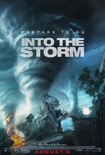 INTO STORM poster