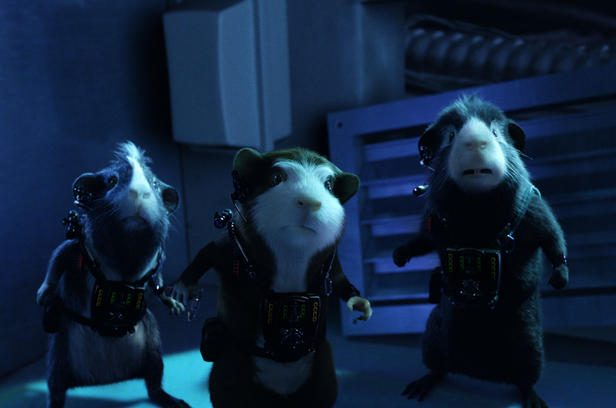 Juarez, Darwin and Blaster have the munchies