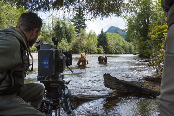 Photographers stay hidden to get the best shots