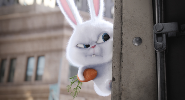 Snowball the wacky bunny is looking for trouble