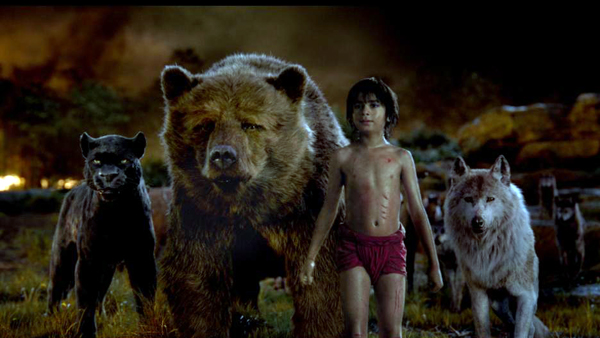 Mowgli with Bagheera, Baloo and Akela in THE JUNGLE BOOK
